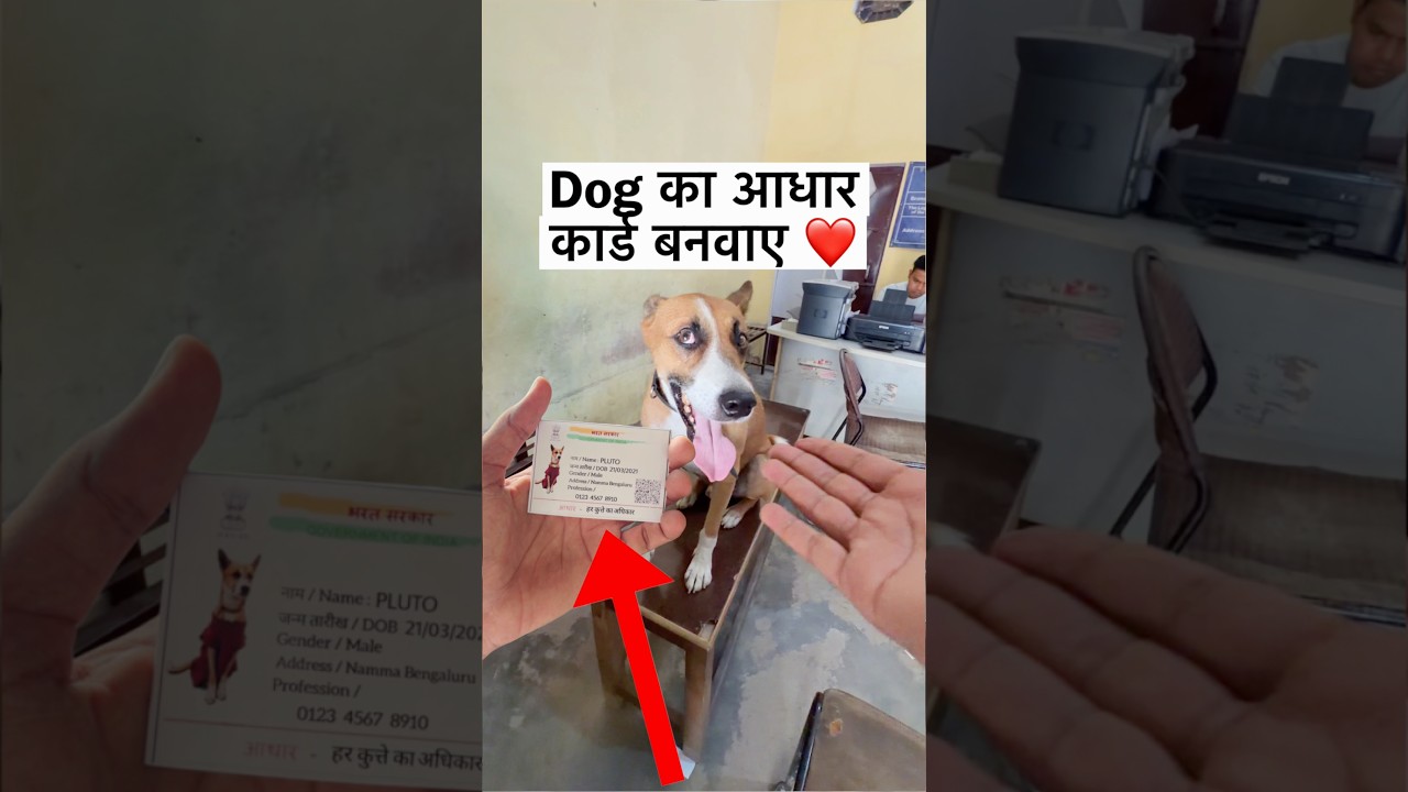 Pluto ka Aadhar Card Ban Gaya 😬