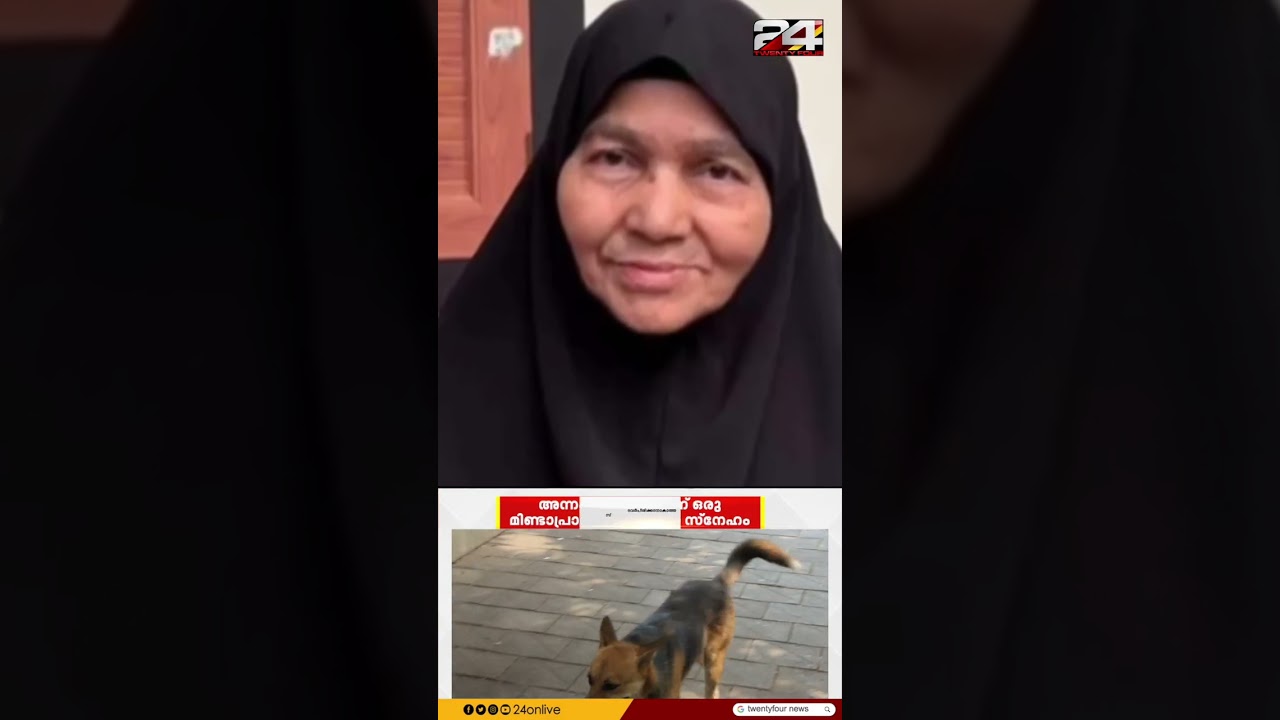 ആമിന ഉമ്മയുടെ ഖബറിടത്തിന് കാവലിരിക്കുന്ന തെരുവ് നായ