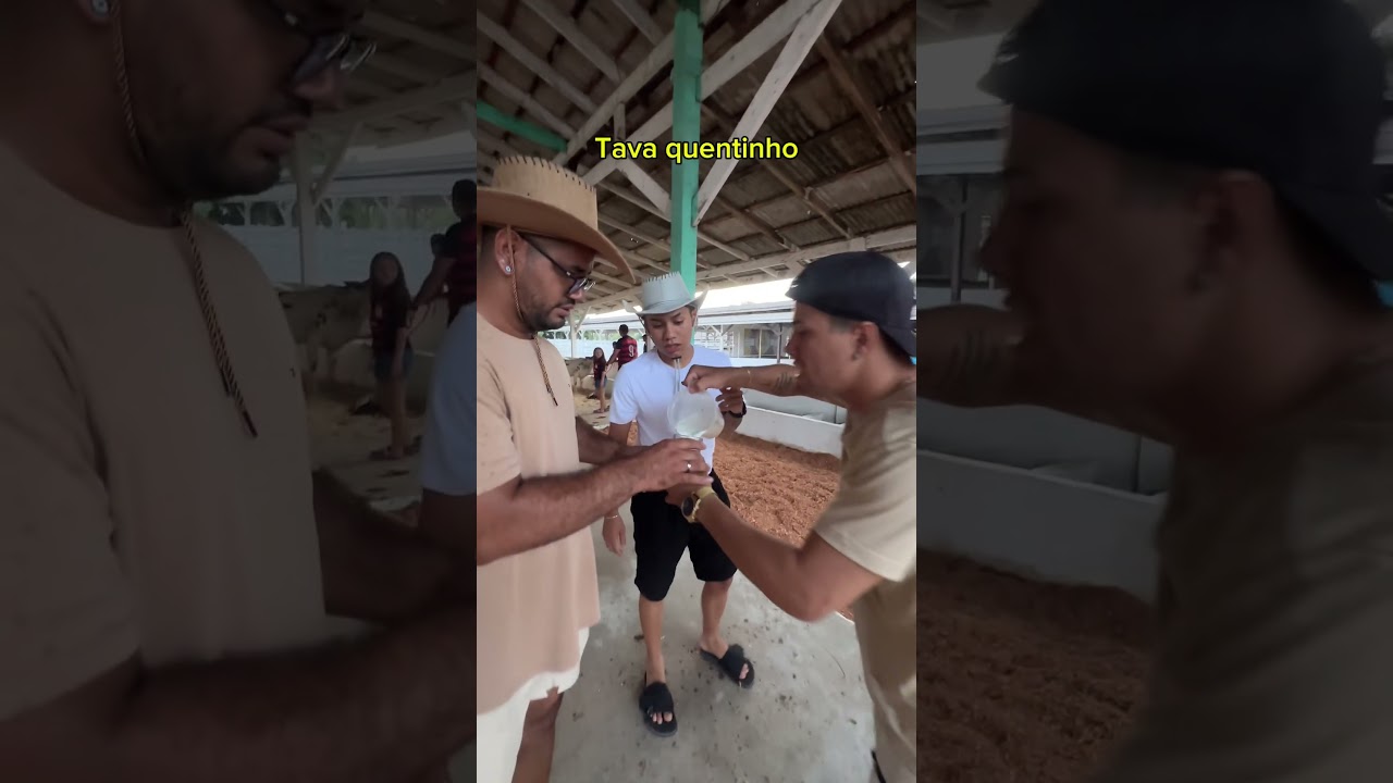 Quentinho