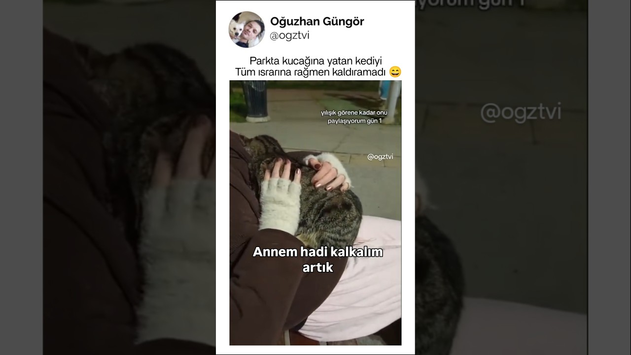 Tüm ısrarlar, işe yaramadı