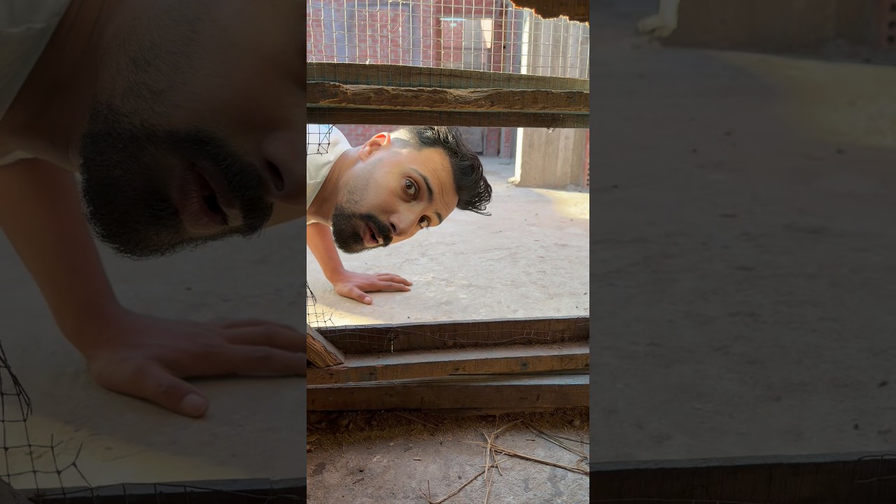 سامع صوت جرو صفير ومش عارف فين🤔