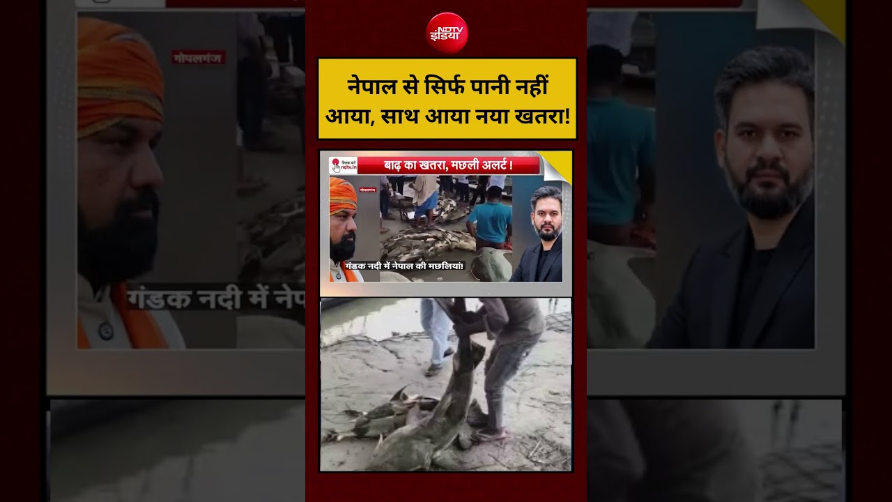 Syed Suhail | Nepal Flood Viral Video: नेपाल से सिर्फ पानी नहीं आया, साथ आया नया खतरा! #floodnews