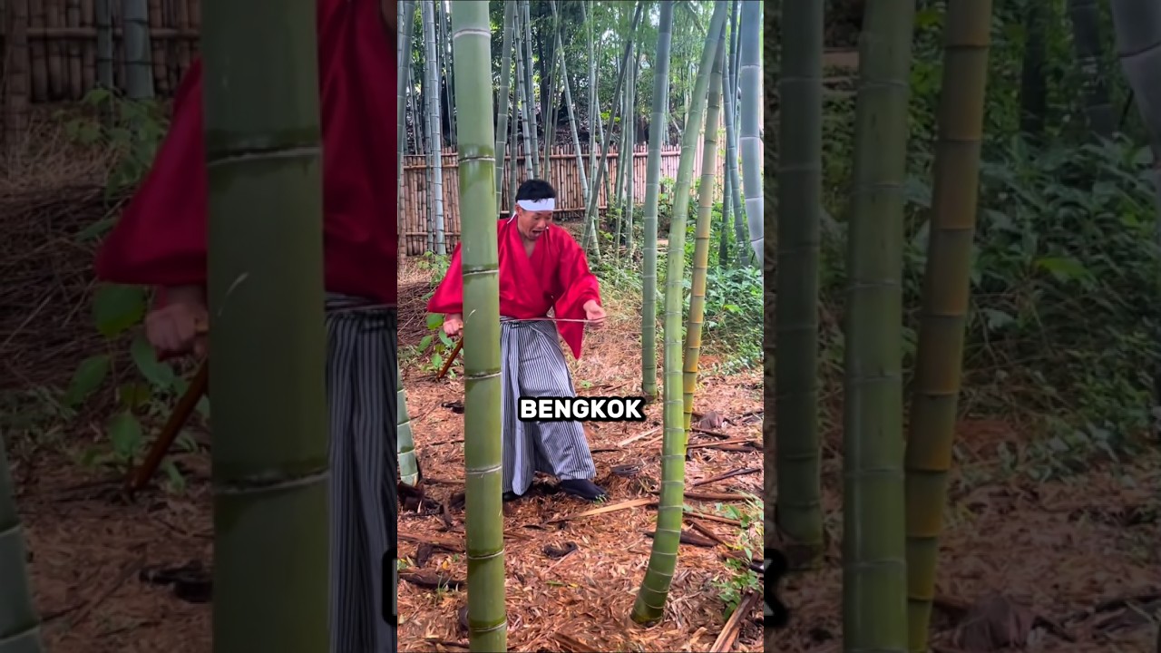 Kenapa Pemula Sulit Menggunakan Katana?