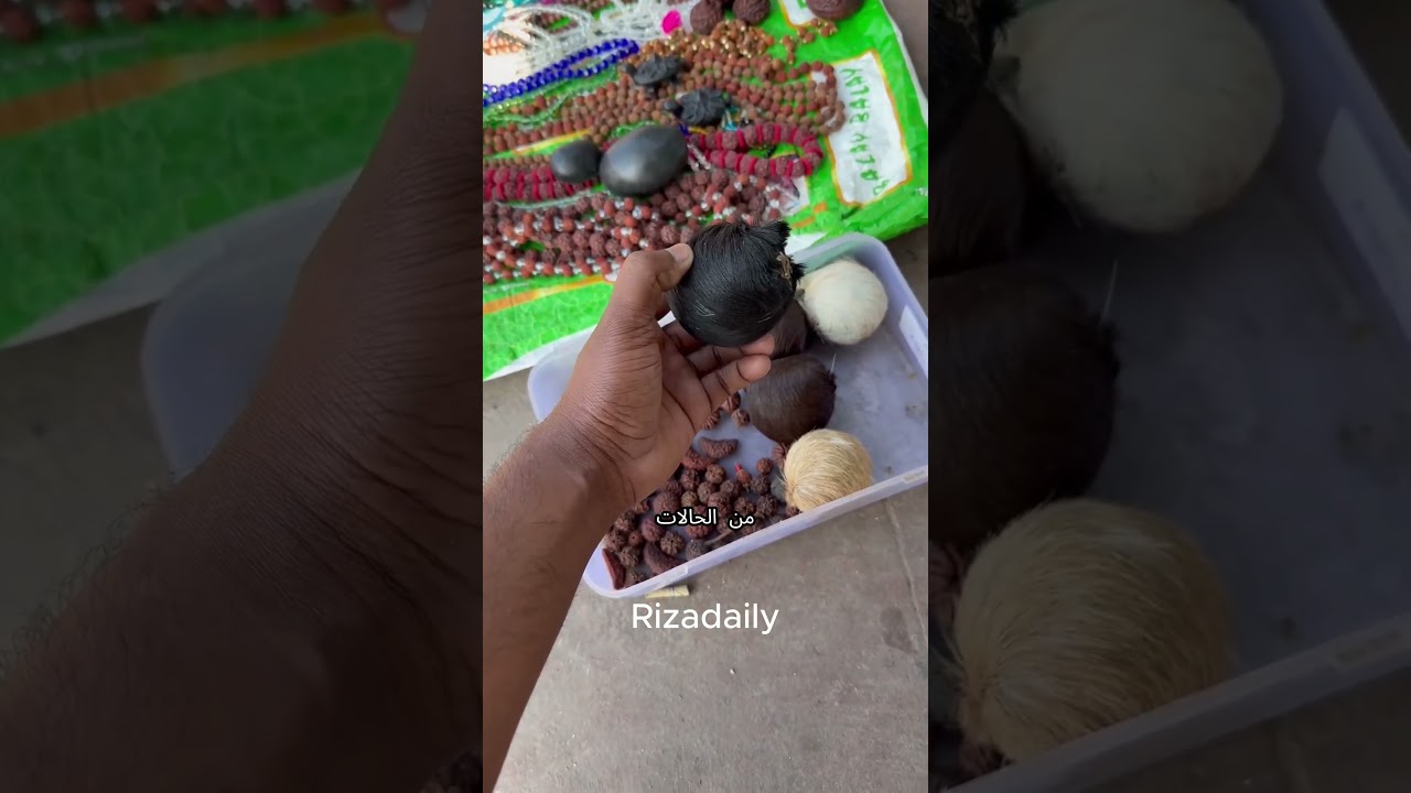 هذا الحيوان يدفع حياته ثمنًا لشيء مخبأ داخل جسمه