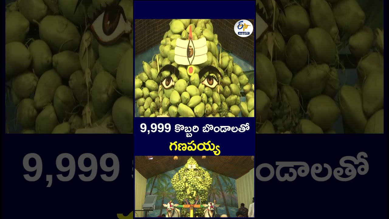 9,999 కొబ్బరి బొండాలతో గణపయ్య     | #CoconutGaneshIdols