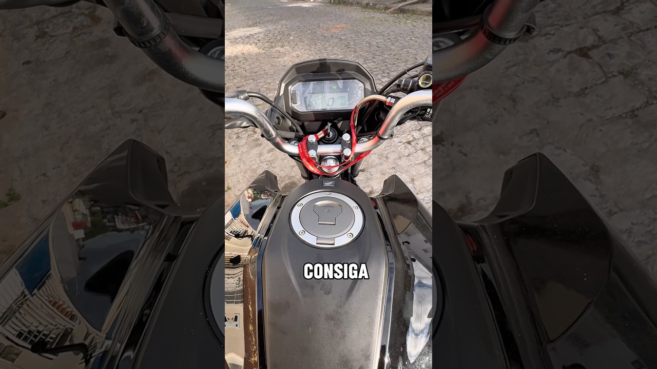 Levando vocês pra roça 🌵