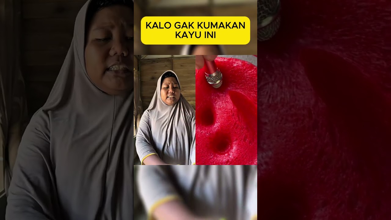 AKU GAK BIASA MAKAN KAYU, KU GIGIT MAMAK KU #asmr #fyp #shorts #shortvideo #satisfyling