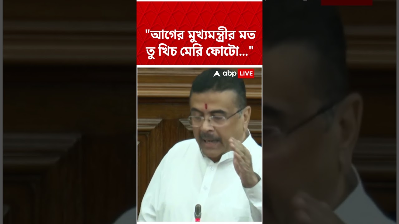 "আগের মুখ্যমন্ত্রীর মত তু খিচ মেরি ফোটো..." | Suvendu Adhikari | Mamata Banerjee | #abpananda