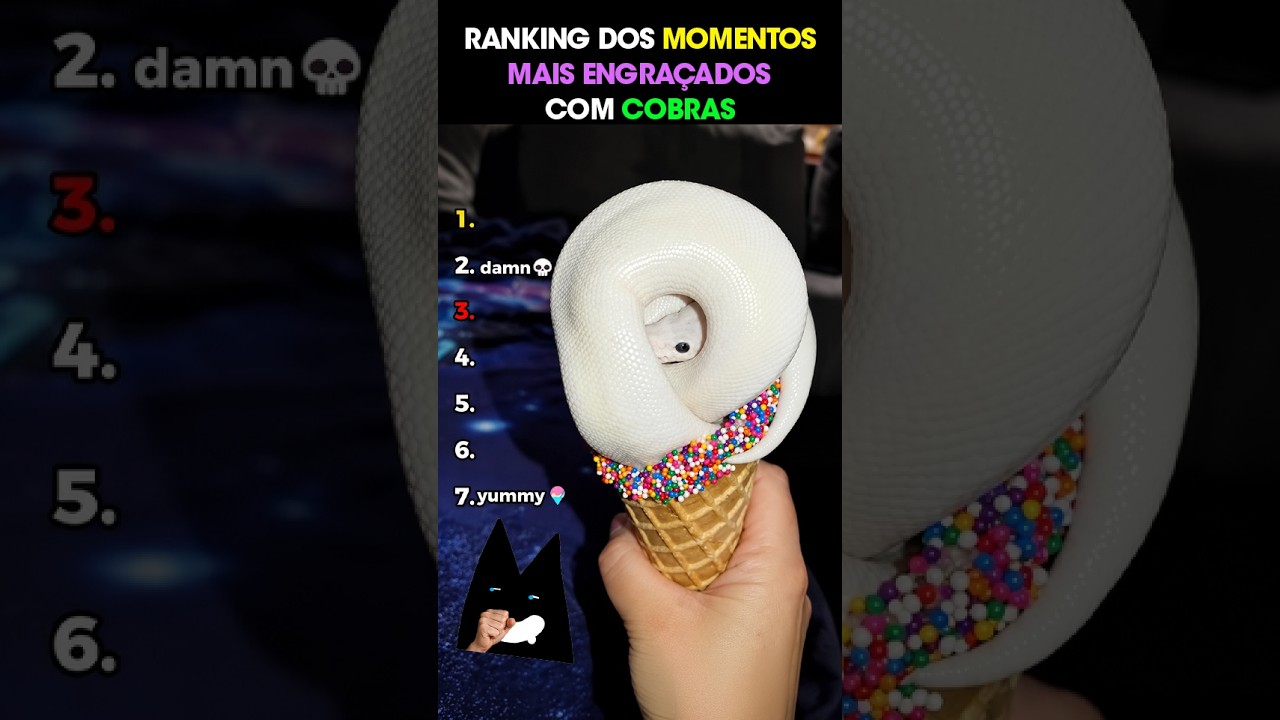 RANKING DOS MOMENTOS MAIS ENGRAÇADOS COM COBRAS