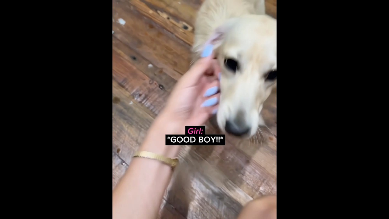 She tricked the dog… 🤫❤️