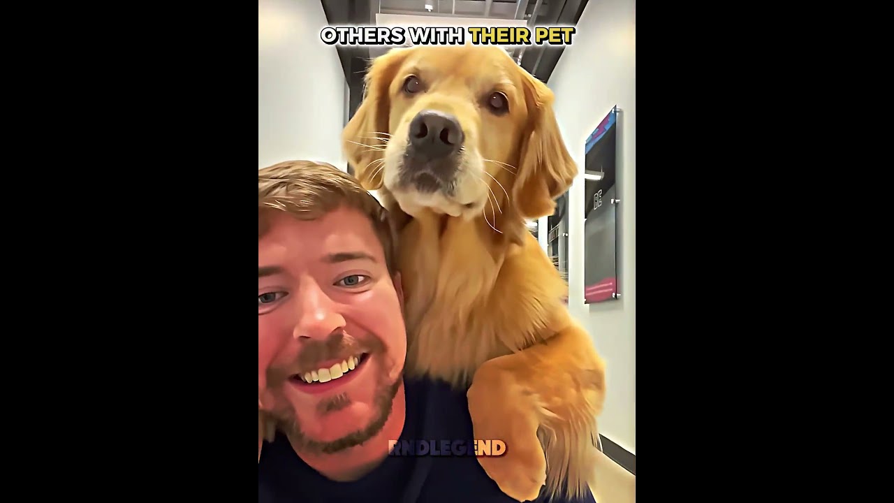 Others With Their Pet VS THIS GUY 💀