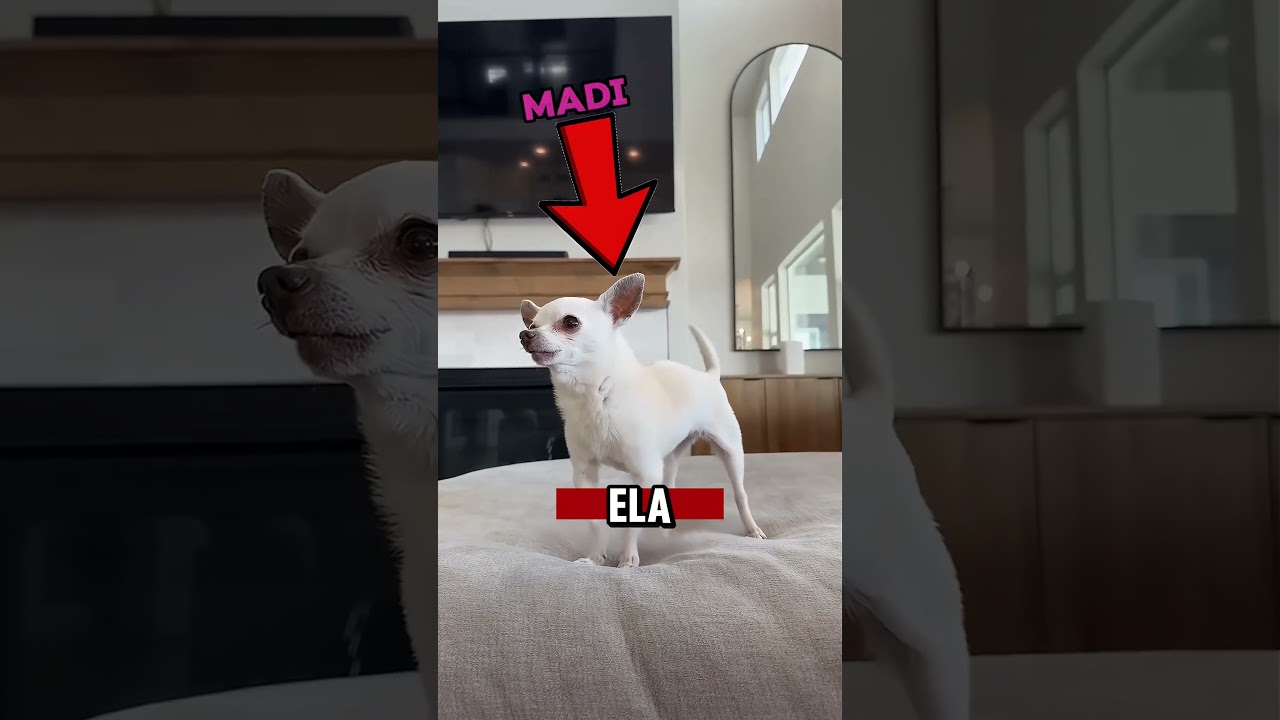 Como ajudar seus amigos  #lunatico