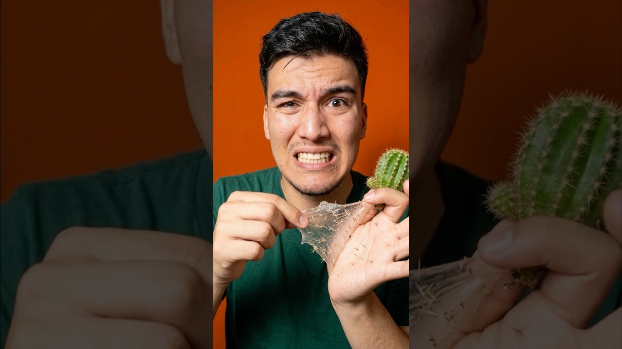 Me enterré espinas de un cactus 🌵💀😟
