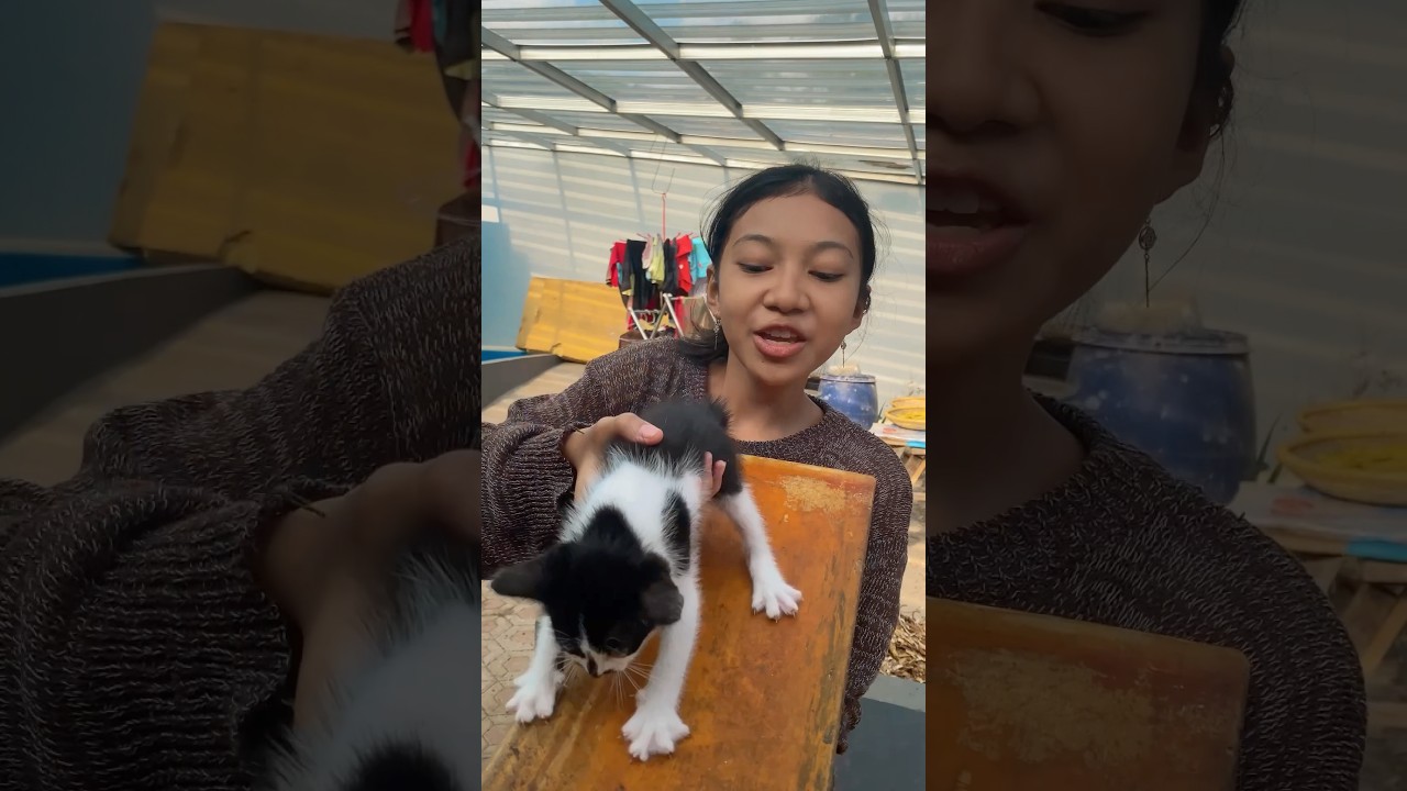 Prosotan kucing #diy #kreatif #viral #art #craft