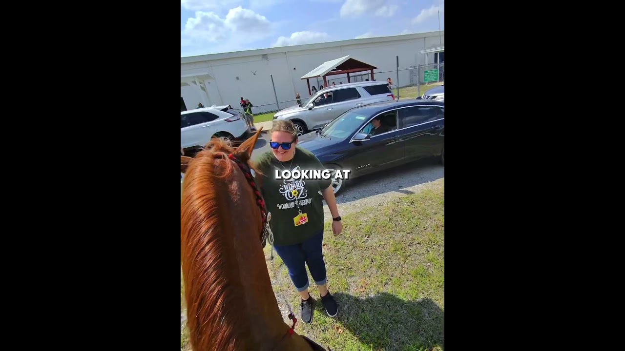 Her Brother’s Horse Surprise Made Her So Happy 🥹