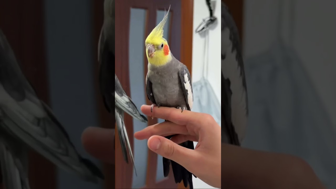 Arının sebep olduğu şey hayatımızı değiştirdi