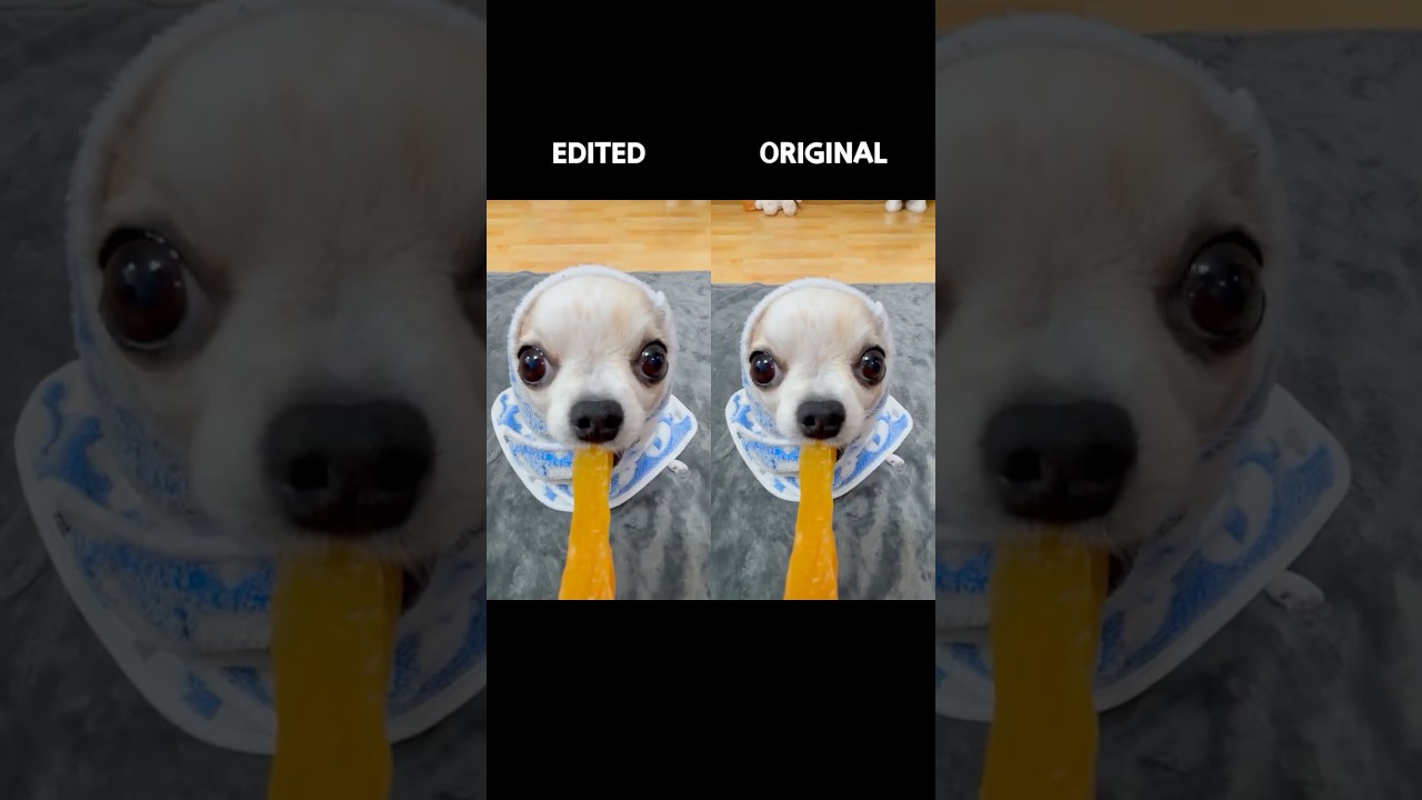 Original vs. Edited #yodajjeom #tutorial