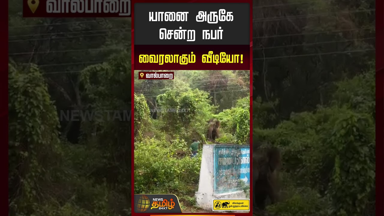 Valparai | யானை அருகே சென்ற நபர்.. வைரலாகும் வீடியோ  #shorts