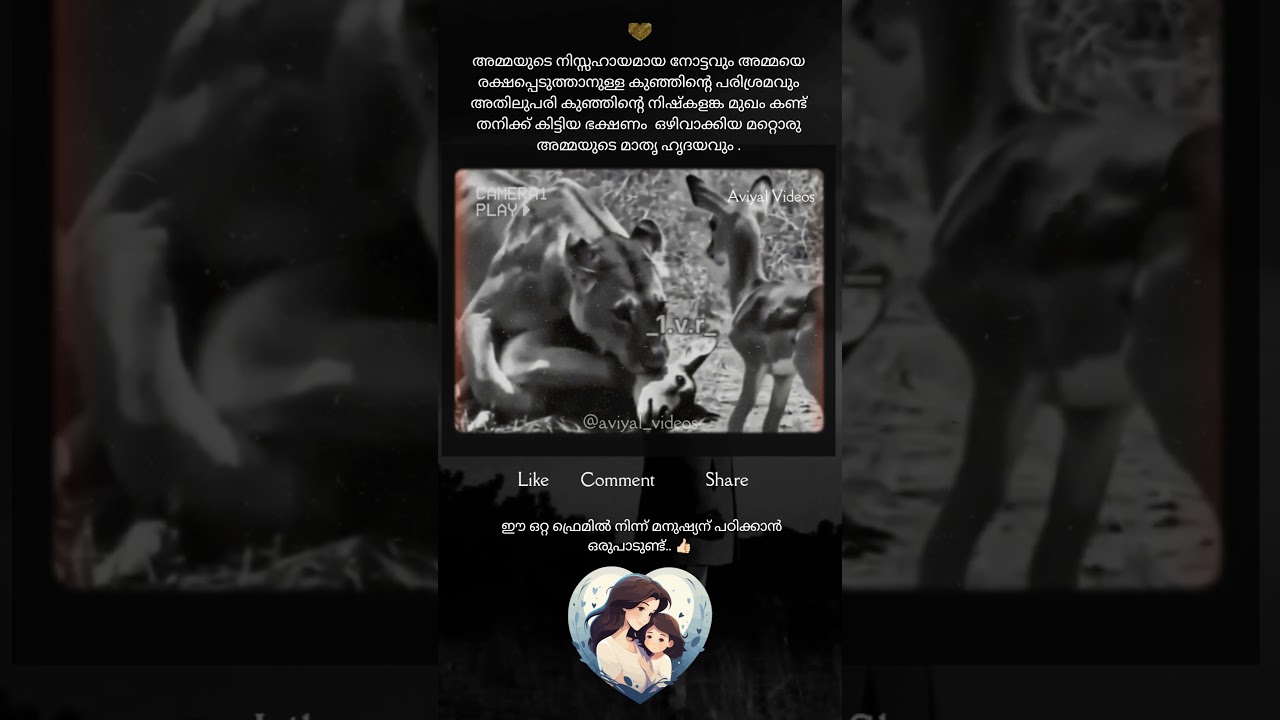 😢 അമ്മയുടെ സ്നേഹം മനസ്സിലാക്കിയ വേറൊരു അമ്മ  ❤️ Lion Mom Spares Deer Mom & Baby | Emotional #Shorts