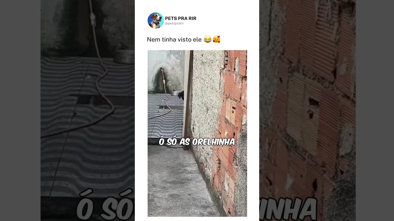 Nem tinha visto ele🥰❤️