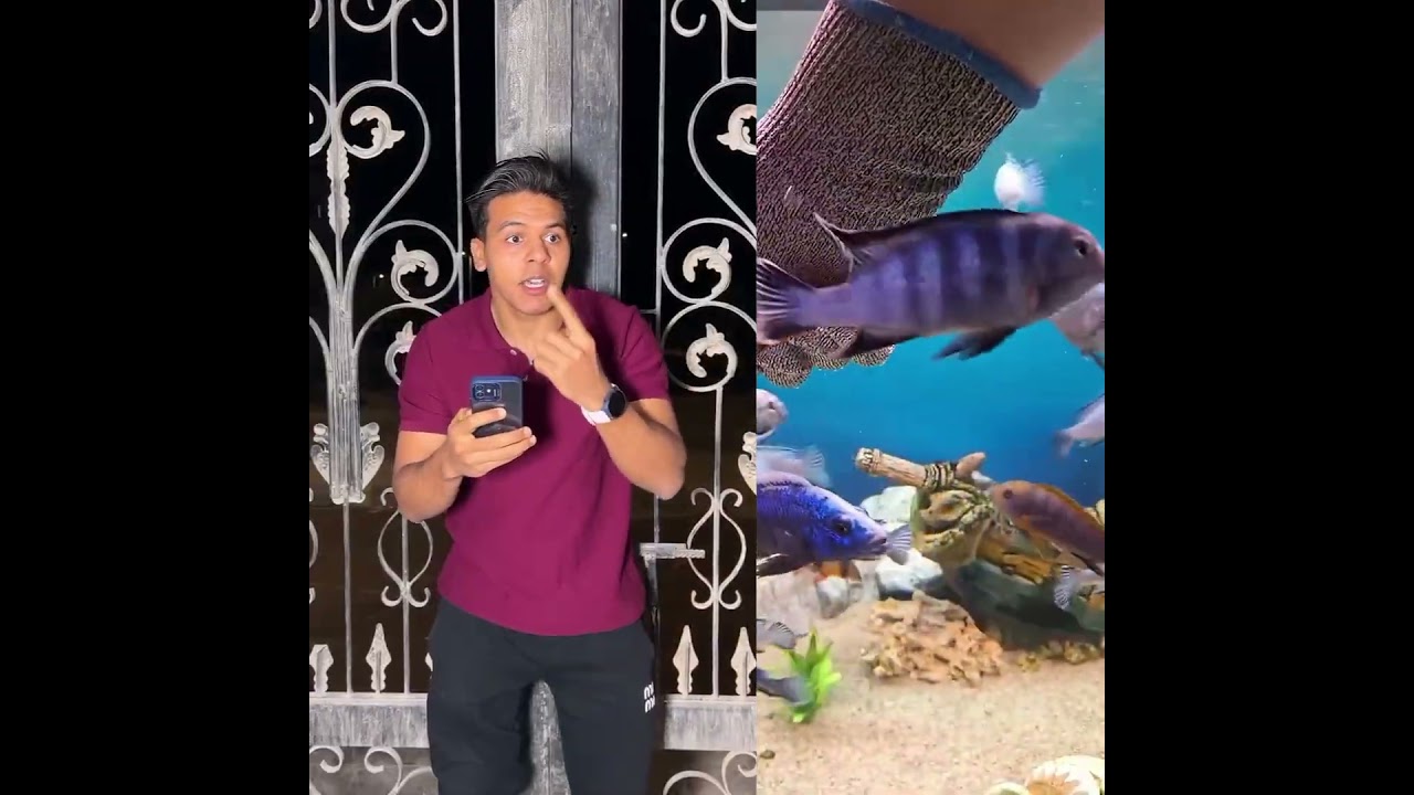 لما تخرج من البيت متأخر والساعة تتغير#يوسف_جو #ابودم_خفيف #اكسبلور #funny