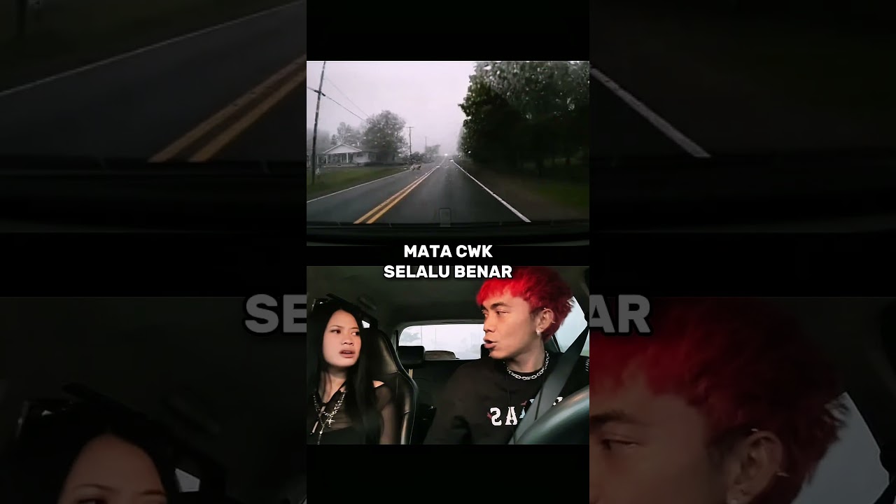 DASHCAM ANJING LEWAT #automobile #otomotif