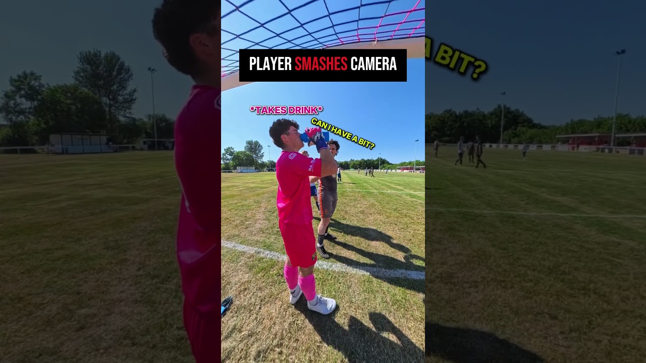 Questionable behaviour..🤣