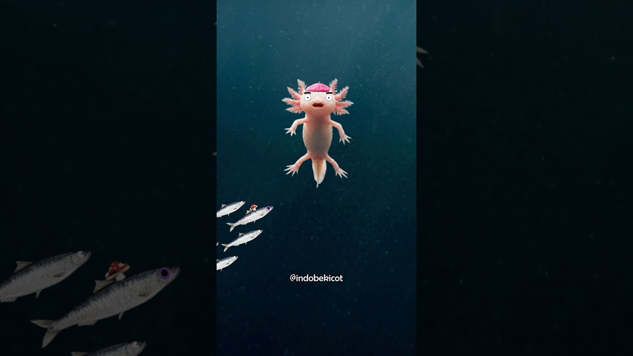 Kalo Lo Jadi Axolotl, Lo Gak Perlu Takut Mati Konyol 😂