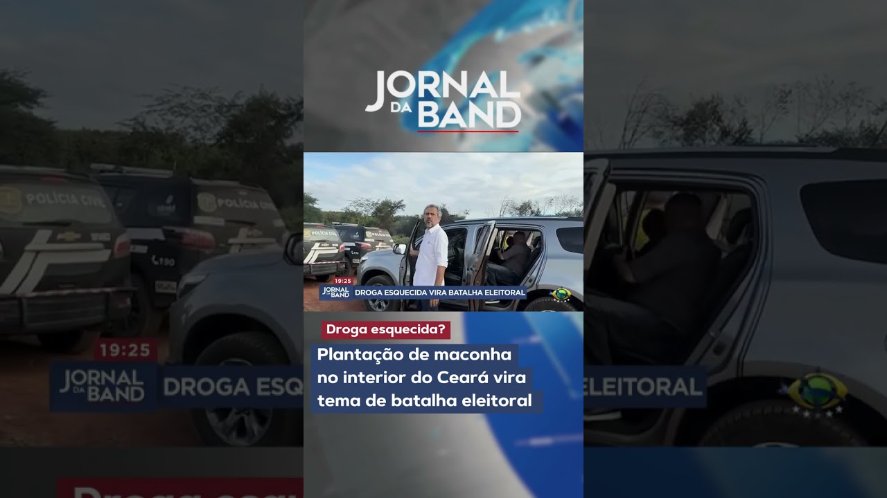 Plantação de maconha no interior do Ceará vira tema de batalha eleitoral