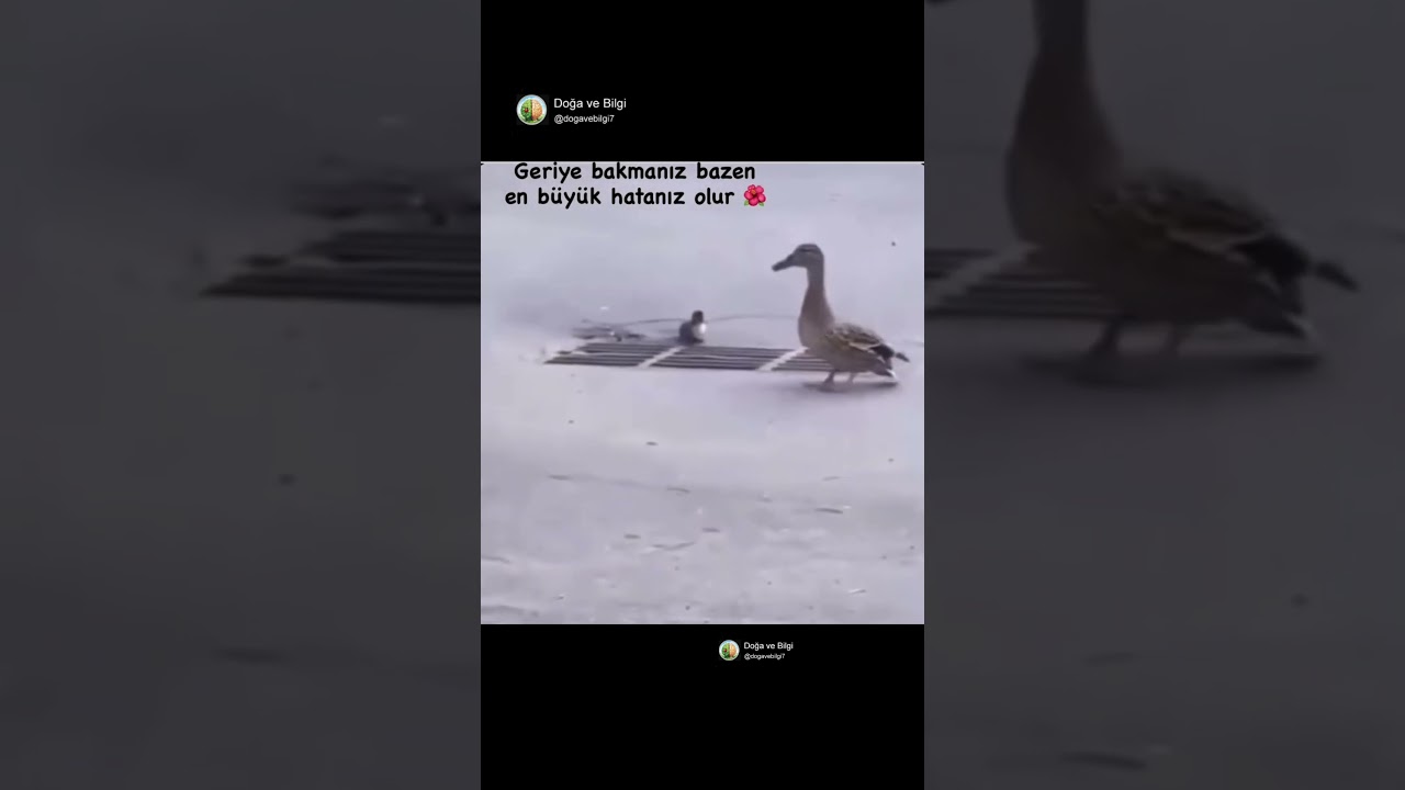 Bazen en doğru yol… Detaylar açıklamada ⬇️😑