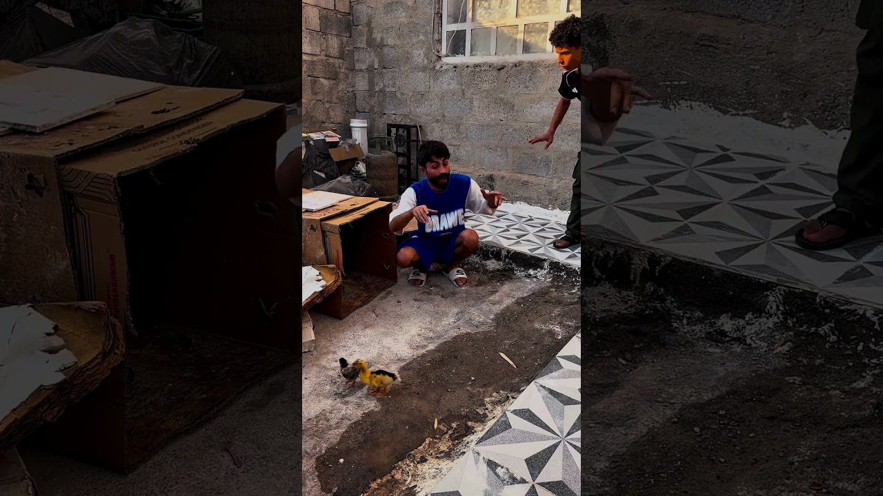 ٧ أيلول، ٢٠٢٦