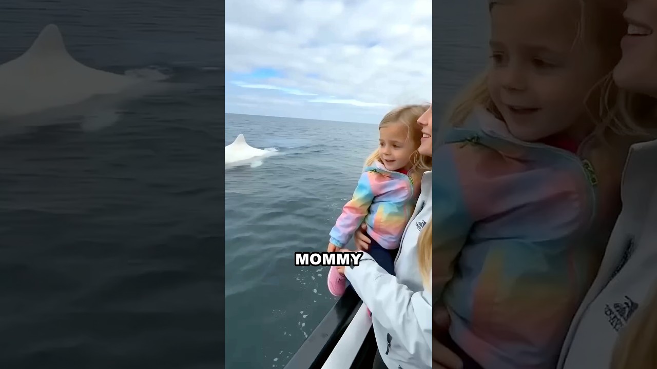 She Dropped Her Shoe in the Ocean... Then THIS Happened 😱