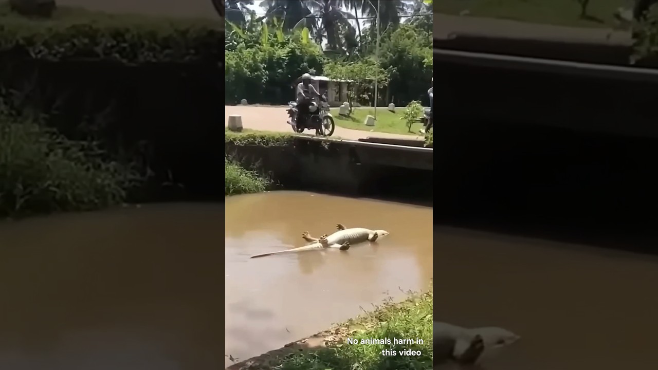 വായിൽ മണ്ണ് ഇടുന്നൊടാ  😬