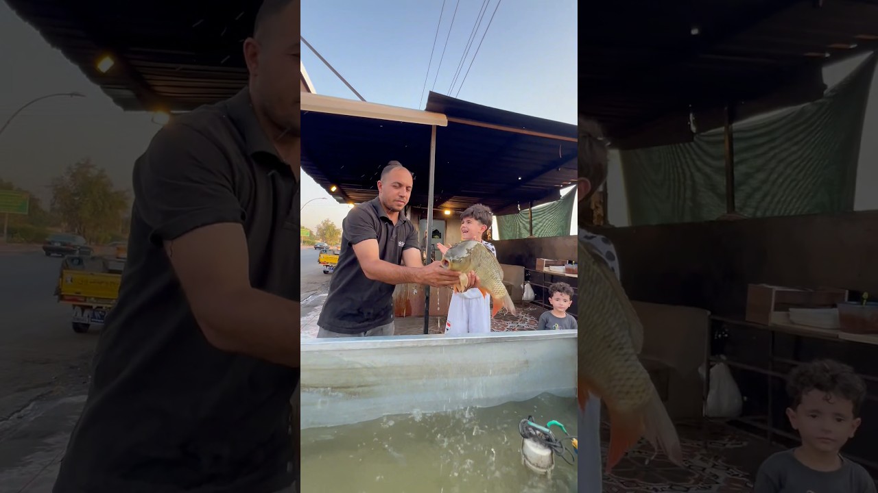 اطيب سمج بكركوك يم عباس