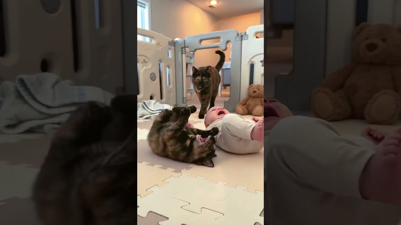 When Mom Says It's Bedtime 😂 Baby & Cat's Dramatic Meltdown! #FunnyBaby #CatAndBaby #BedtimeTantrum