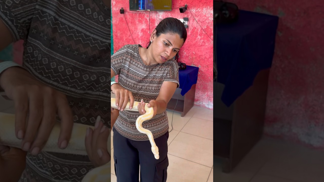 எங்க தலைக்கு எவ்வளவு தில்லு பாத்தியா😜🤣 #shorts  #funny #love