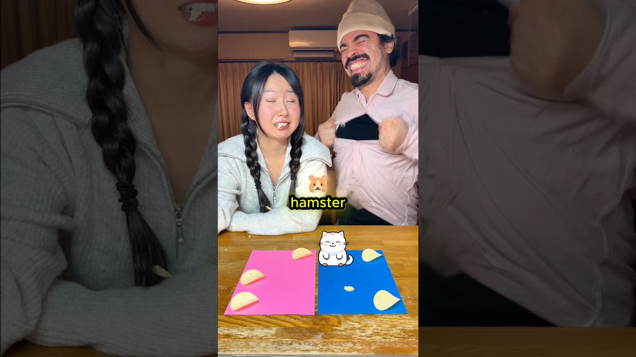 Gato vs Hamster 🐱🐹 Quem Ganhar Escolhe Nosso Pet