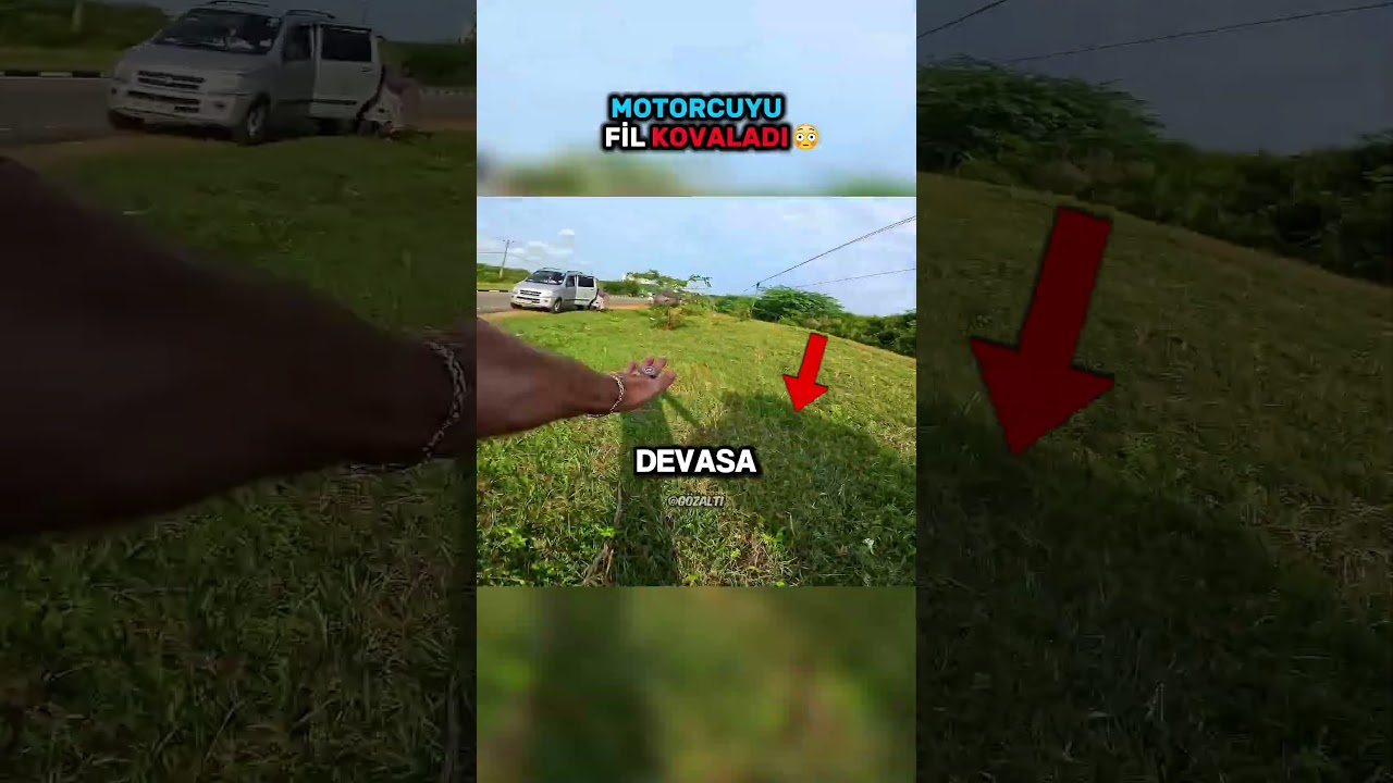 Motorcuyu Fil Kovaladı! 😳 #shorts