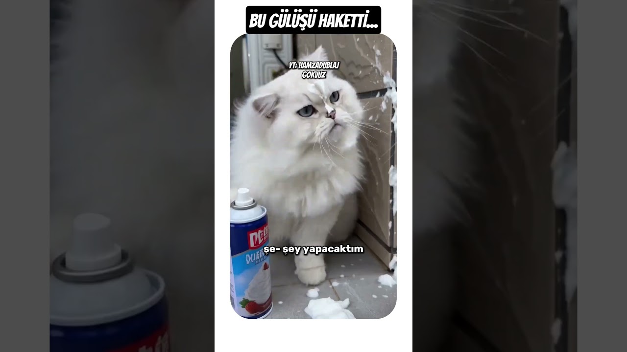 ŞAKAYDI, KAKA OLDU...