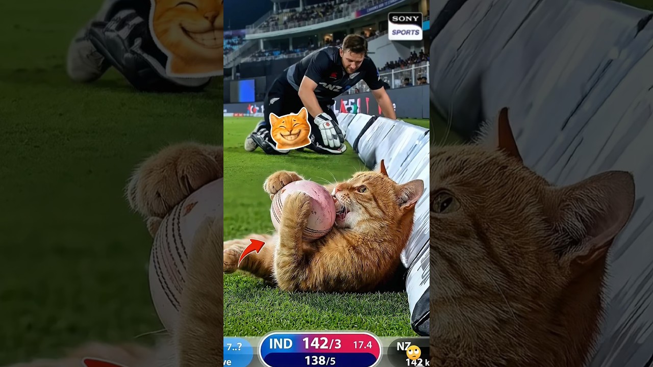 Cat Suddenly Grabs the Ball in Live Cricket Match 😺🏏 #shorts