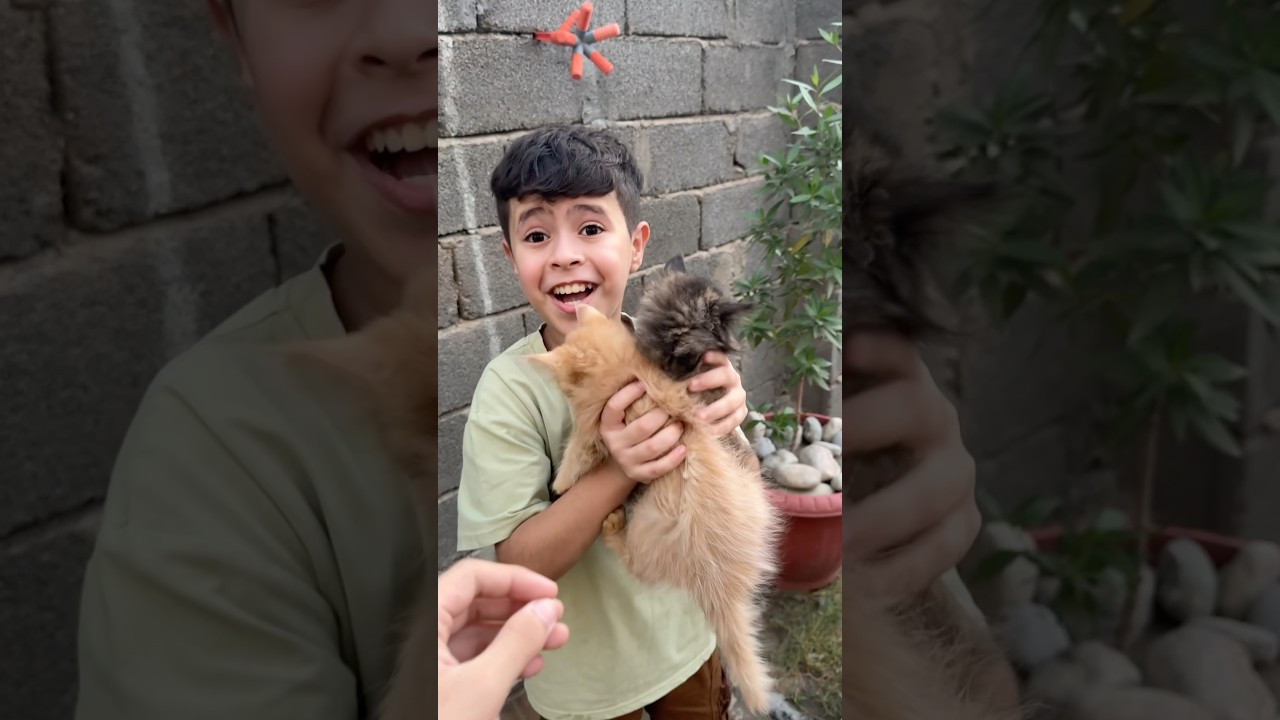 بزونات بلونه 🐈‍⬛😻