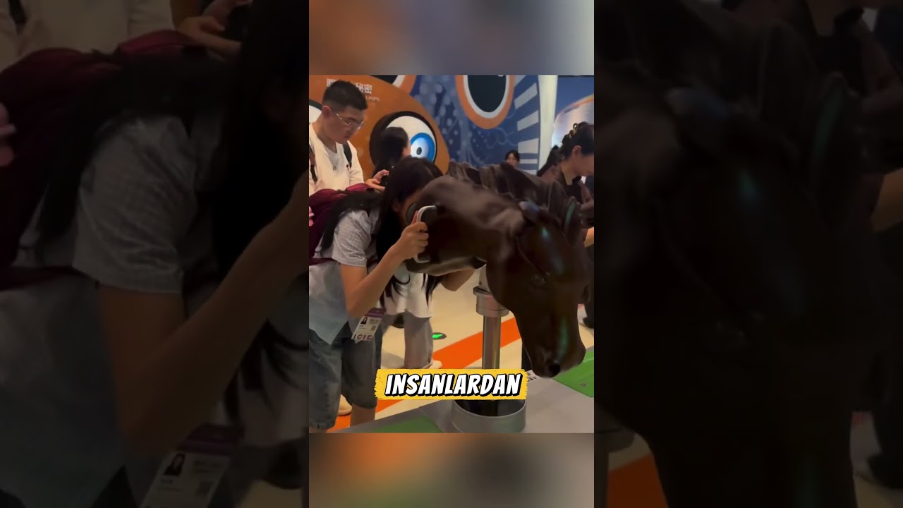 🦉🐱Hayvanların dünyayı nasıl gördüğünü asla tahmin edemezsin!