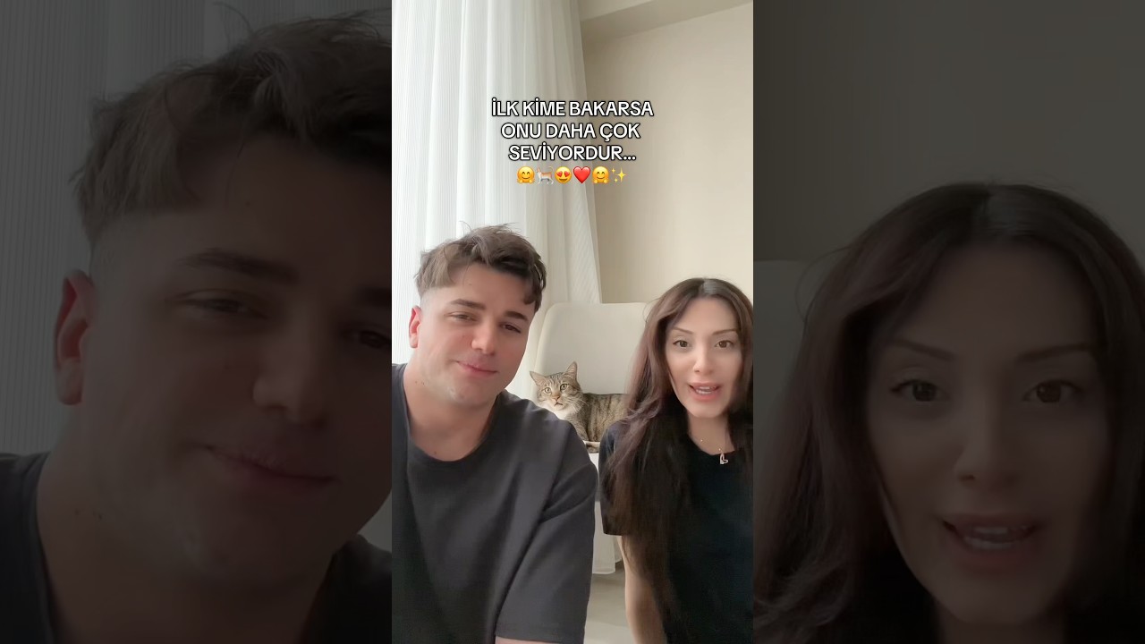 hani erkek kediler annelerine daha düşkün olurdu