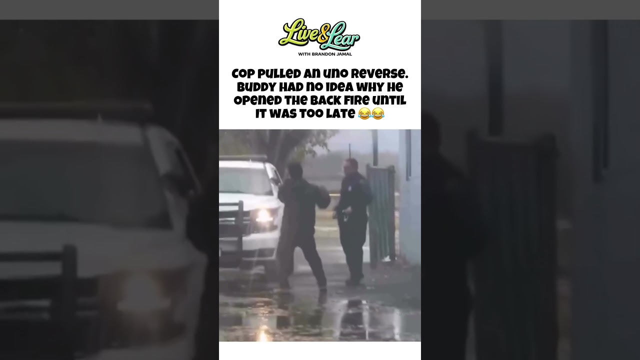 Buddy had no idea until it was too late 😈😂🚔 #k9 #dogs #police #usa