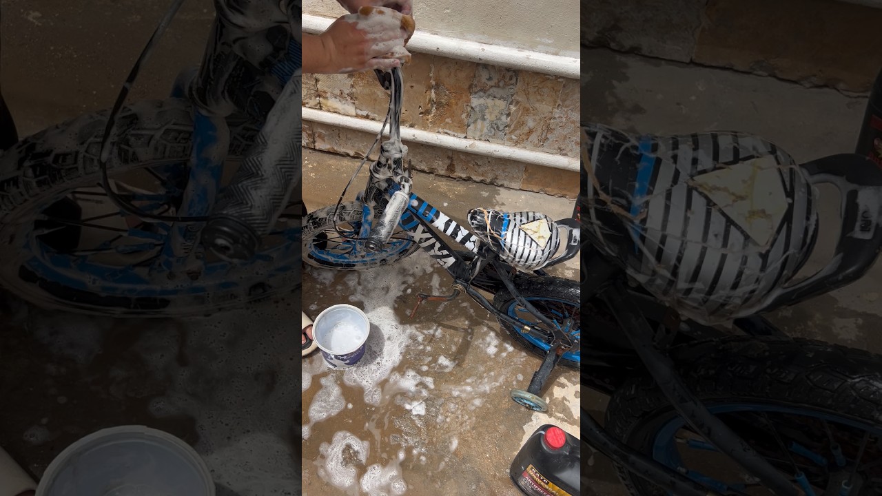 سويت باسكل مجودي جان عطلان