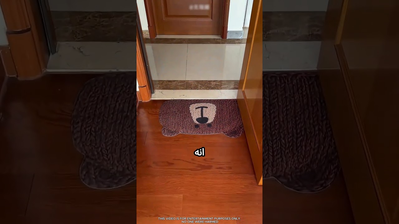 بيلاقي الكلب بتاعو بطريقة مميزة ! #viral