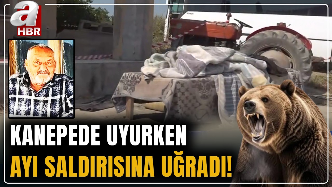 İzmir'de kanepede uyurken ayı saldırısına uğrayan adam hayatını kaybetti! | A Haber