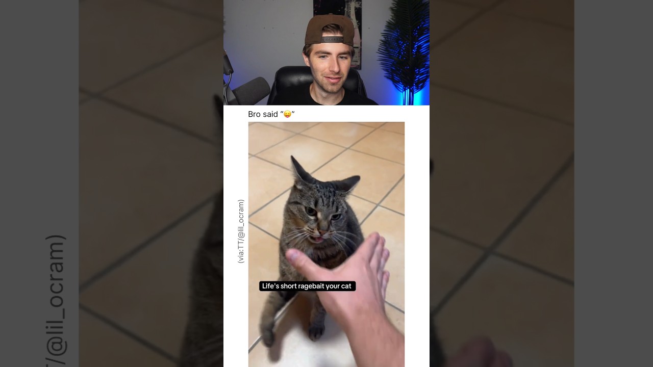 BRO'S CAT IS BROKEN.. 😭 - Published by Wyatt Reacts