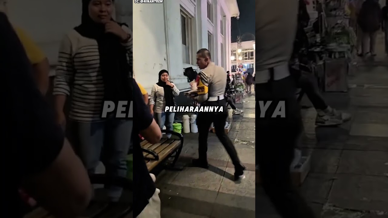 Bukan Sekadar Kucing, Ia Teman Setia Sang Ibu Pedagang