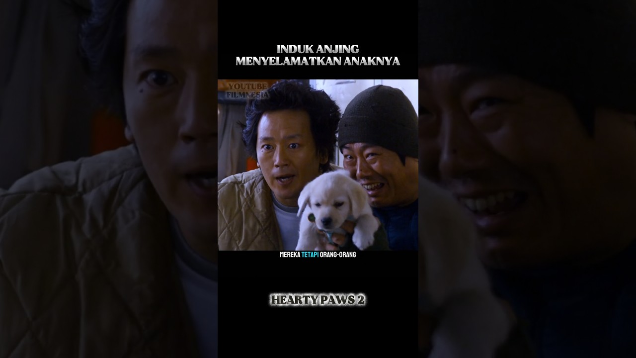 Induk anjing yang menyelamatkan anaknya